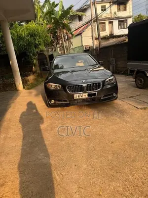 BMW 520D 2013 Car (Used)