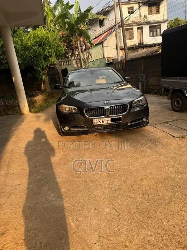 BMW 520D 2013 Car (Used)