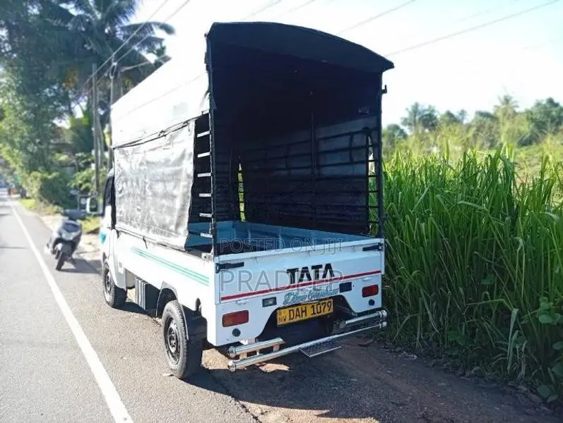 Tata Dimo Lokka 2019 Lorry (Used)