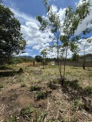 Land For Sale Near Dambulla Cave Temple