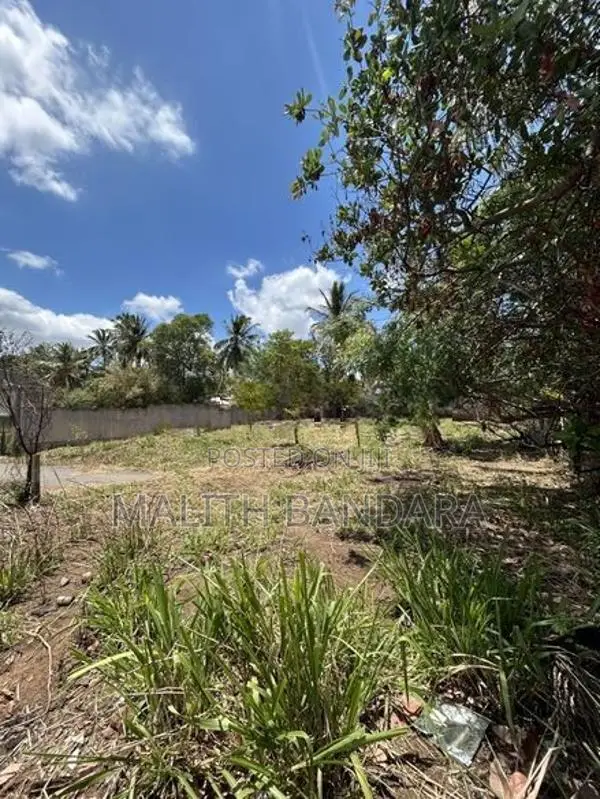 Land For Sale Near Dambulla Cave Temple