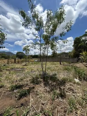 Land For Sale Near Dambulla Cave Temple