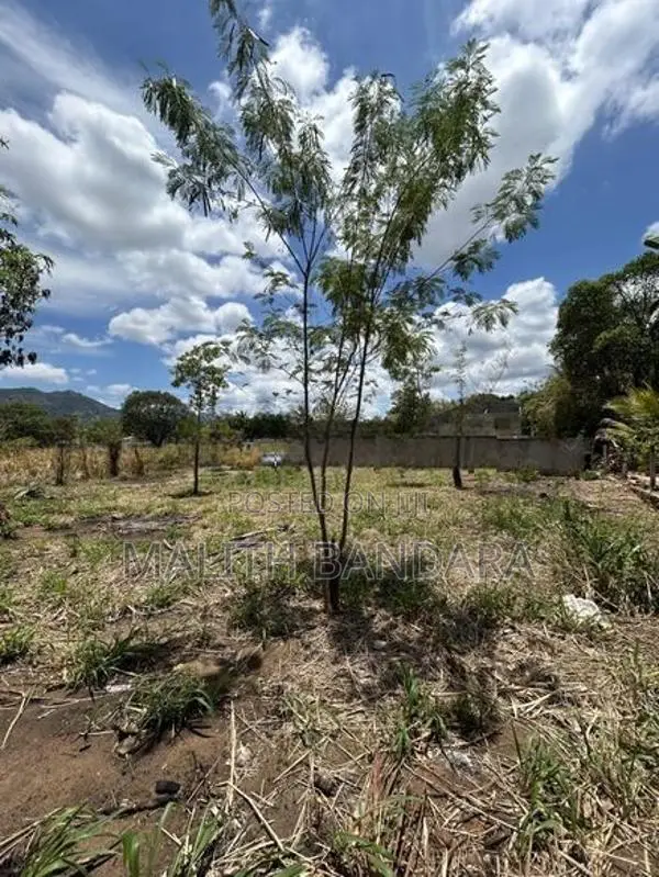 Land For Sale Near Dambulla Cave Temple