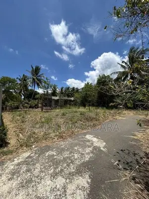 Land For Sale Near Dambulla Cave Temple