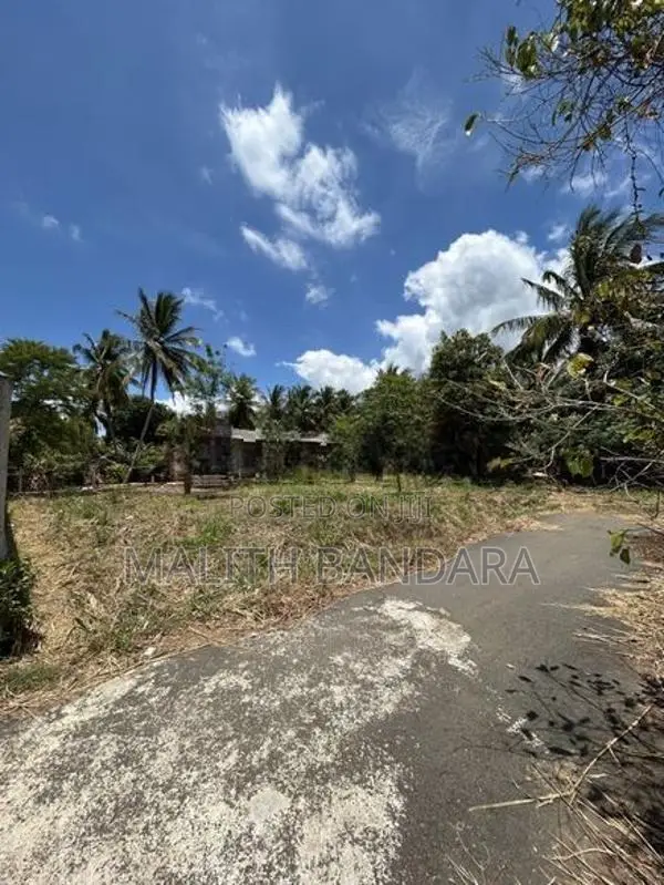 Land For Sale Near Dambulla Cave Temple