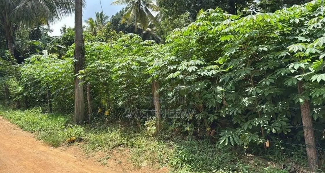 Valuable Land for Sale in Nittambuwa