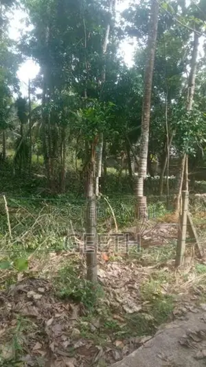 30 Perches Prime Land In Wellmilla Maharagama