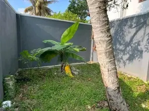 Valuable Land for Sale in Ja Ela - 12.5 Perch