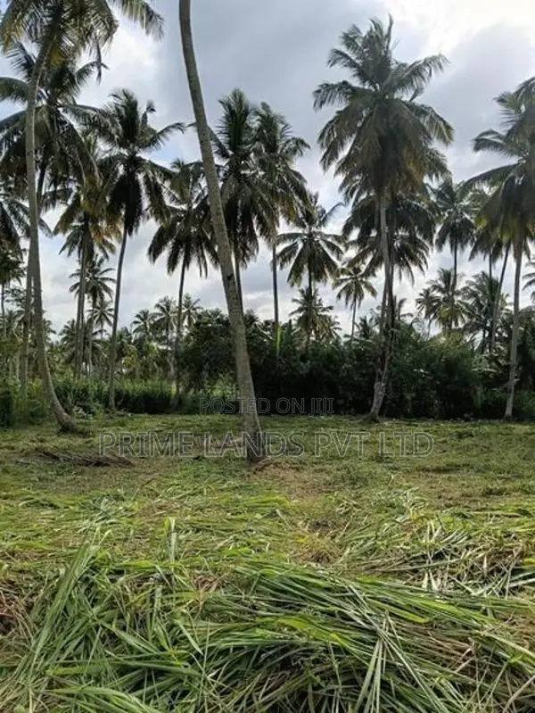 නාරම්මල ඉඩමක් විකිණීමට