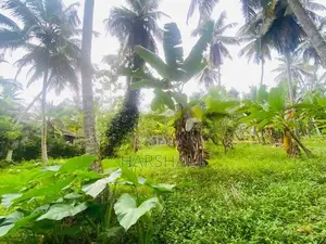 30P Superb Commercial Land Facing Kirindiwela – Weliweriya Main Rd