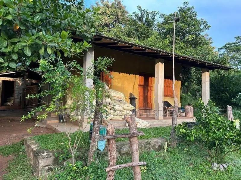 ☆ Mahiyangana Agricultural Land & Farm For Sale ( RS - 307)