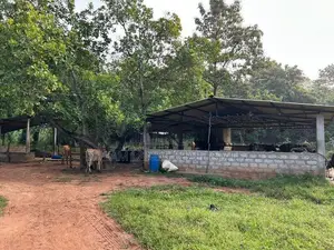☆ Mahiyangana Agricultural Land & Farm For Sale ( RS - 307)