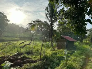 ☆ Mahiyangana Agricultural Land & Farm For Sale ( RS - 307)