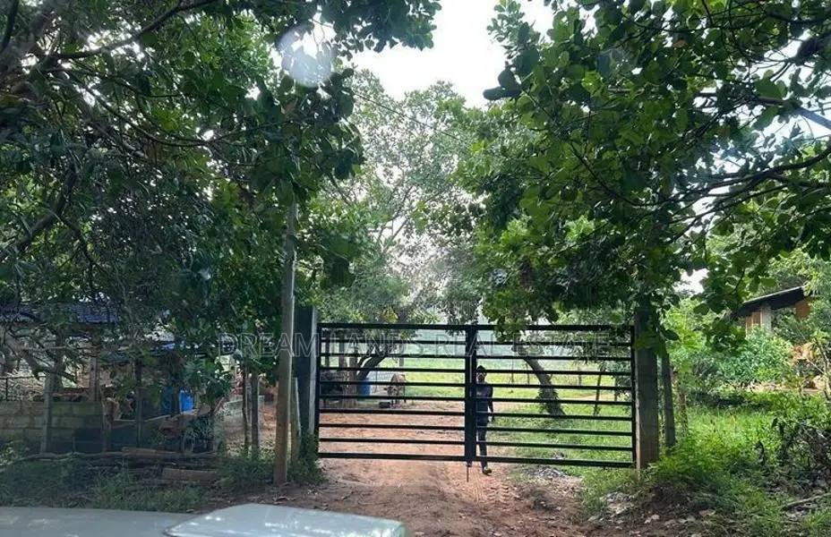 ☆ Mahiyangana Agricultural Land & Farm For Sale ( RS - 307)