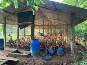 ☆ Mahiyangana Agricultural Land & Farm For Sale ( RS - 307)