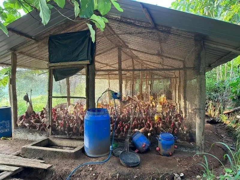 ☆ Mahiyangana Agricultural Land & Farm For Sale ( RS - 307)