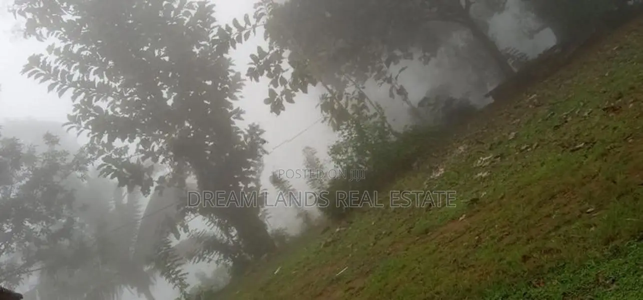 COMMERCIALTEA LAND FOR SALE IN KANDY (sp806)