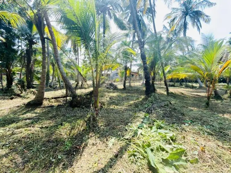 (af692) 58P Land at Galle Road Wadduwa Kalutara