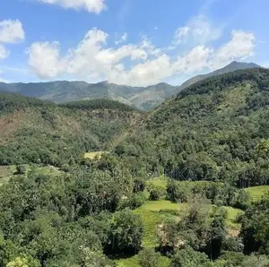 Estate for Sale (3962) Haldumulla