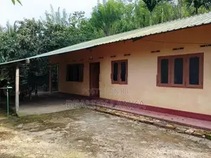 Estate for Sale (3962) Haldumulla
