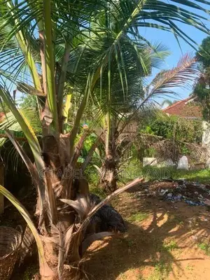 Livable House For Sale In Moratuwa - CH1679