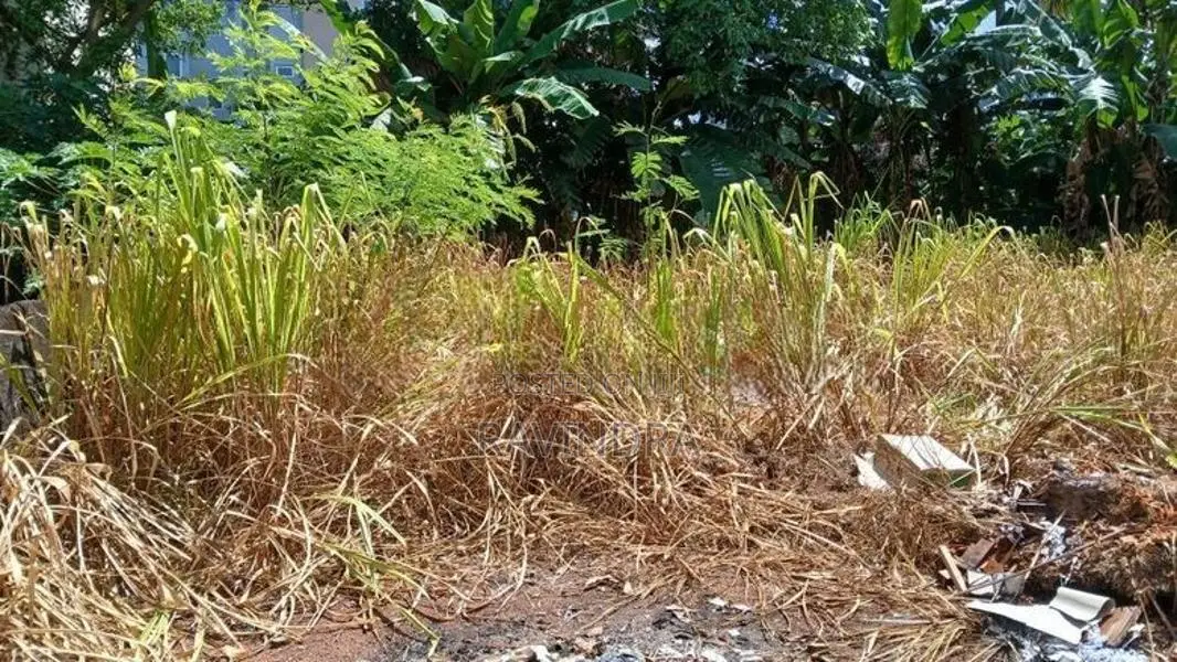 Land for Sale Melder Place Nugegoda