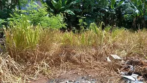 Land for Sale Melder Place Nugegoda