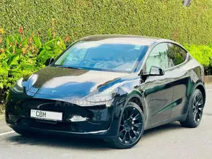 Tesla Model Y Just Registered 1st 2024