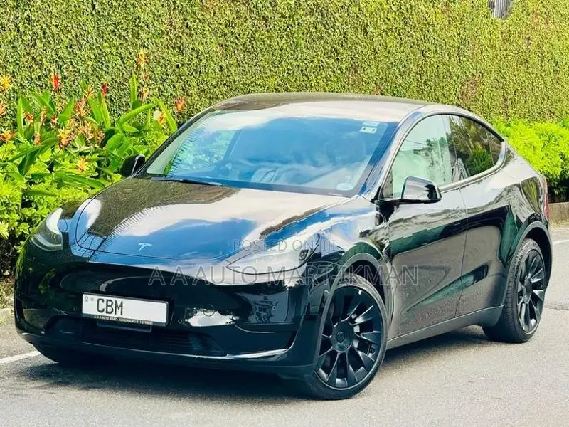 Tesla Model Y Just Registered 1st 2024