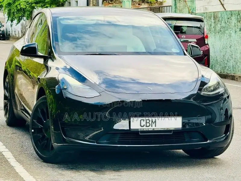 Tesla Model Y Just Registered 1st 2024