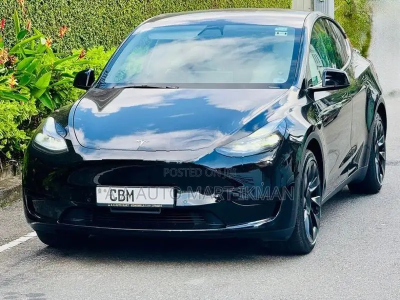 Tesla Model Y Just Registered 1st 2024