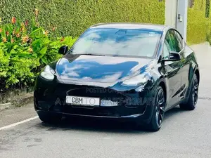 Tesla Model Y Just Registered 1st 2024