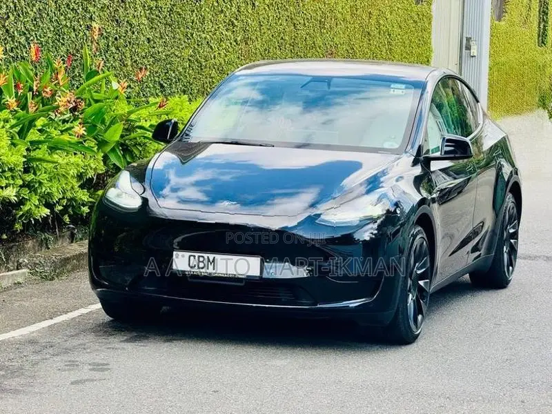 Tesla Model Y Just Registered 1st 2024