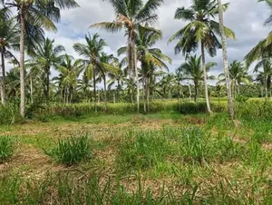 මීරිගම – වෙද හන්දියට ආසන්න වටිනා ඉඩමක්