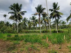 මීරිගම – වෙද හන්දියට ආසන්න වටිනා ඉඩමක්