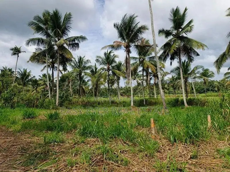 මීරිගම – වෙද හන්දියට ආසන්න වටිනා ඉඩමක්