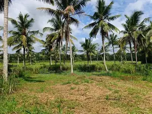 මීරිගම – වෙද හන්දියට ආසන්න වටිනා ඉඩමක්
