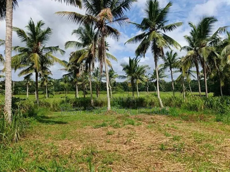 මීරිගම – වෙද හන්දියට ආසන්න වටිනා ඉඩමක්