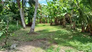 Land for Sale Abillawaththa Road Boralesgamuwa