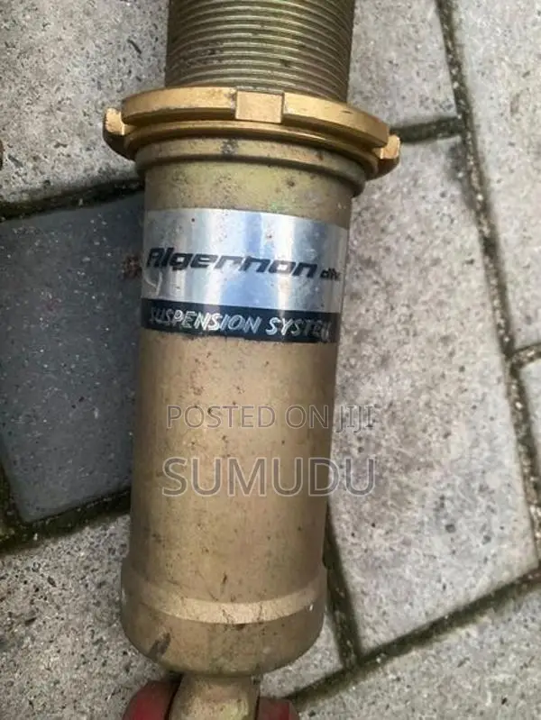 Aristo Adjustable shock set