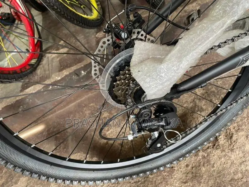 Roar 26” Mountain Bike