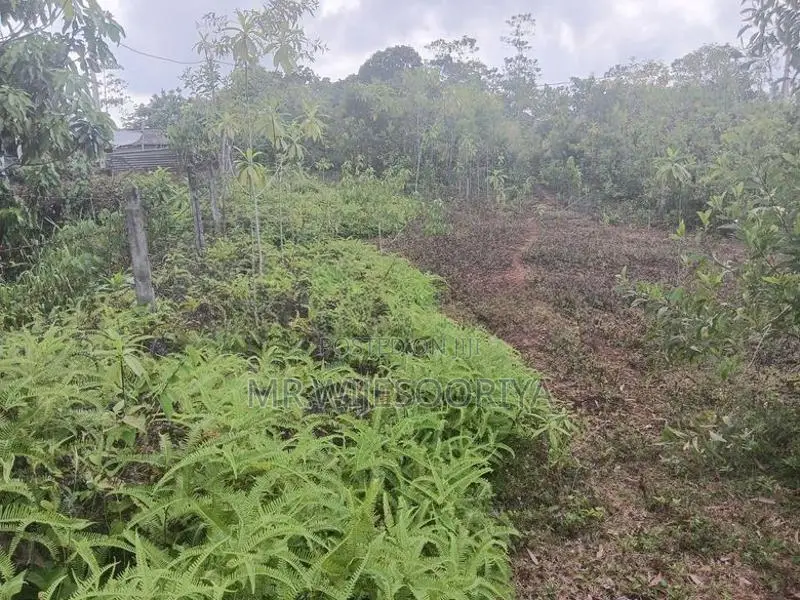 Piliyandala,Moragahahena Road Olaboduwa Land for Sale