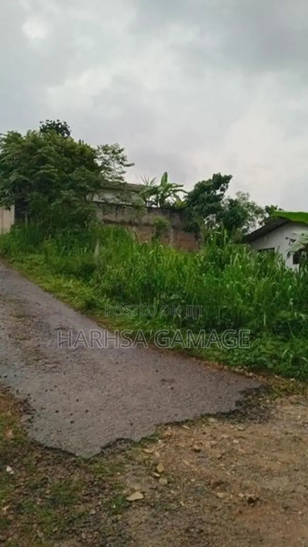 ඉඩමක් විකිනීමට - හොරණ