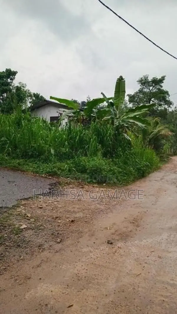 ඉඩමක් විකිනීමට - හොරණ
