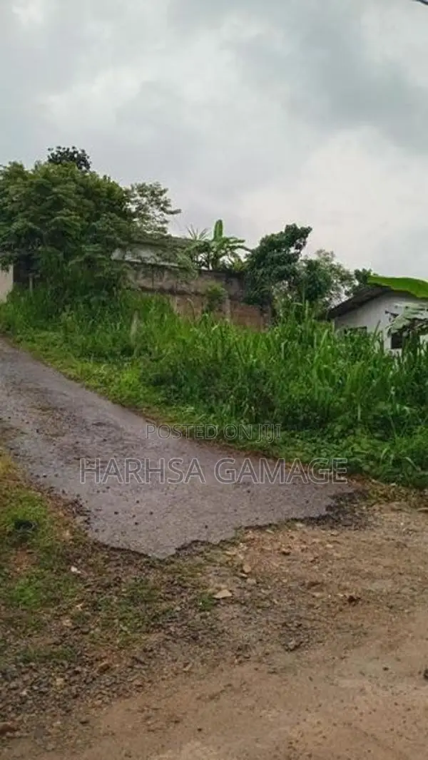 ඉඩමක් විකිනීමට - හොරණ