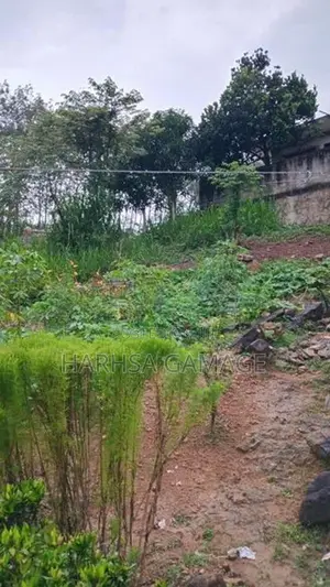ඉඩමක් විකිනීමට - හොරණ