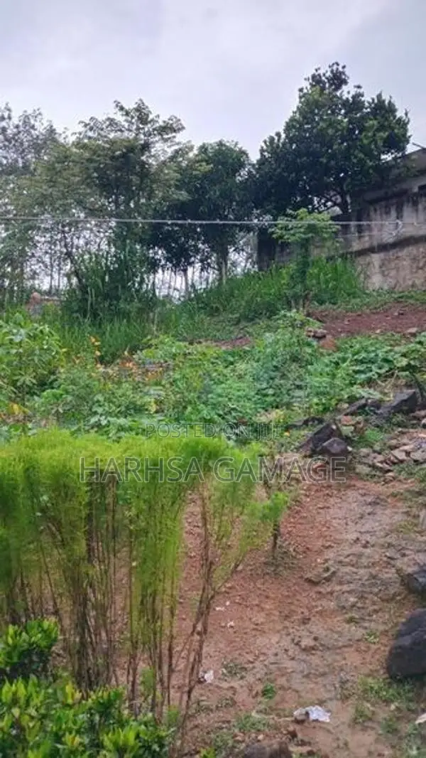 ඉඩමක් විකිනීමට - හොරණ