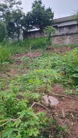 ඉඩමක් විකිනීමට - හොරණ
