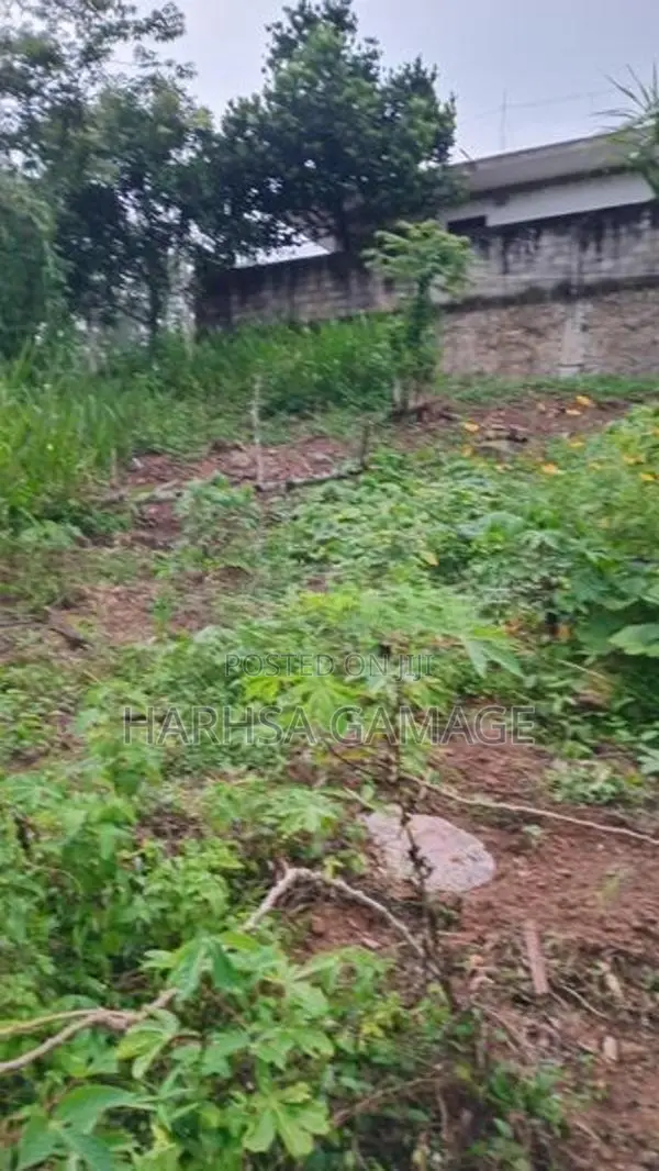 ඉඩමක් විකිනීමට - හොරණ