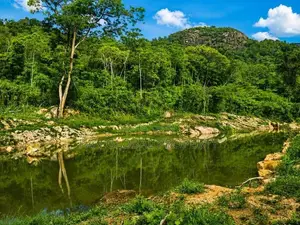 Estate for Sale in Kurunegala